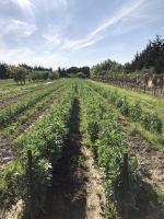 Lien vers: https://inpact-occitanie.xyz/gard/?Trouver-proposer-du-foncier